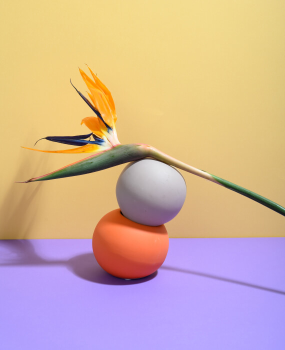 slider 5